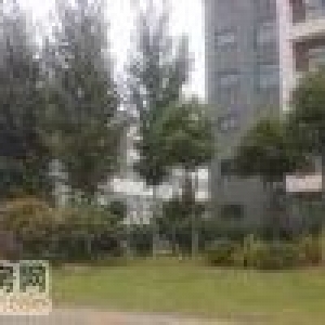 武汉开发区常福新城独栋2000m2钢构厂房配10T行车