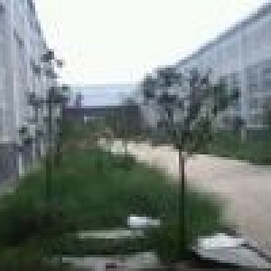 东本汽车产业园3200M2钢构车间