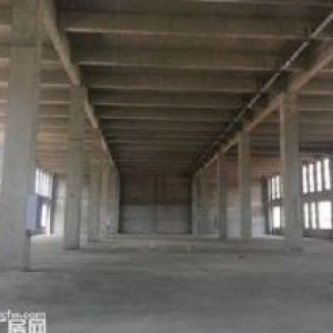 白沙洲4层工业厂房 首层7.2 可装