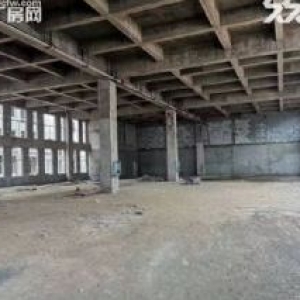 园区直租1000−4000平米钢构厂房 全新厂房 品牌房企开