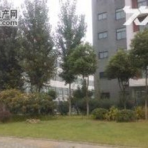 武汉吴家山九通路企业产权42亩园区1.6万方钢构整体出租/出