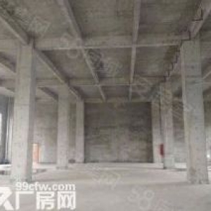 黄家湖大道4000平独栋厂房开发商直售，独立产权，付款方式灵