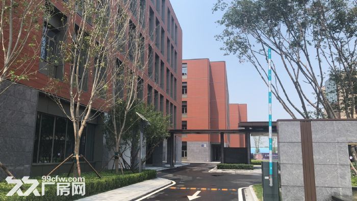 (开发商直售)独栋厂房，50年独立产权-图3