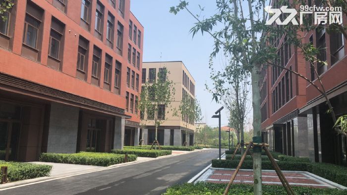 (开发商直售)独栋厂房，50年独立产权-图4
