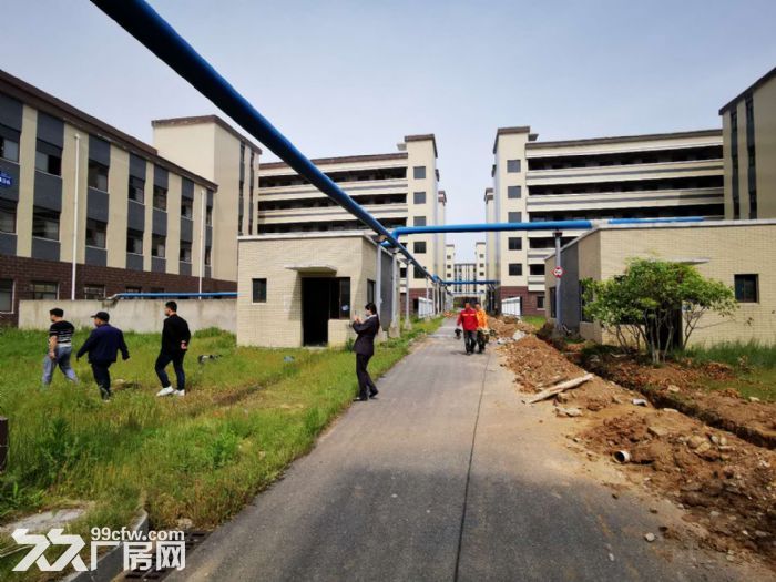 湖北专业食品产业园 厂房出租 食品生产配套齐全