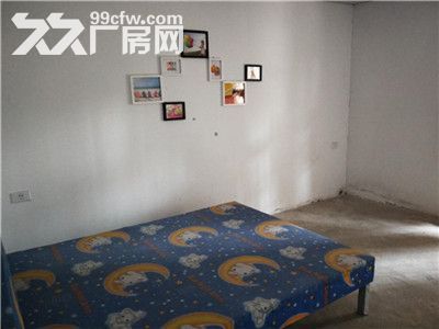 低价出租厂房让你赚到-图4
