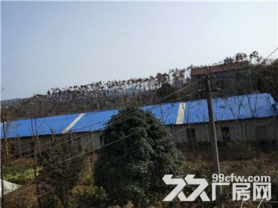 疫情结束期间低价位的厂房出租