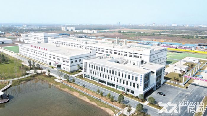 【园区直租】华中电镀园区厂房出租,专业电镀厂房
