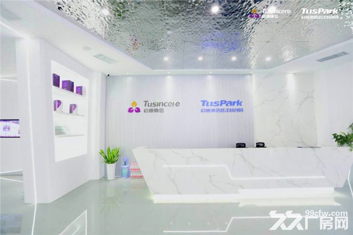 武汉经开国资园区  （专属奖励政策）花园办公，湖景房-图8