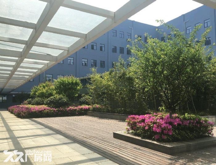 临空经济区标准厂房 优惠出租-图4