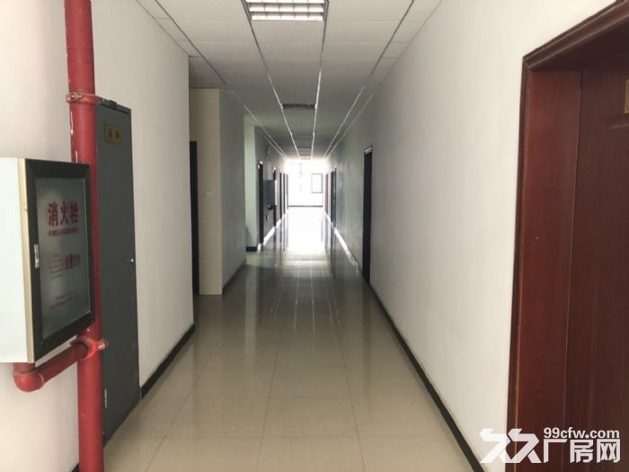 沌口经济开发区钢混结构厂房三楼1600平米厂房出租 带3吨货梯8元-图7