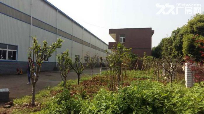 出售！常福23亩11000平米独门独院钢构厂房 位置优越-图6