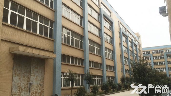 东西湖爱迪克斯工业园二楼870平米厂房出租 11元/平米/月-图3