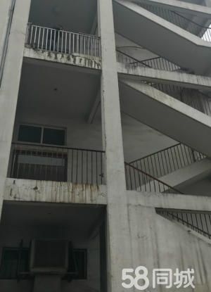 东西湖中小企业城4700平米独栋厂房出售 证件齐全可过户-图3