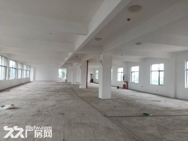 新洲仓埠6000平米独门独院钢构厂房土地出售 证件齐全-图4