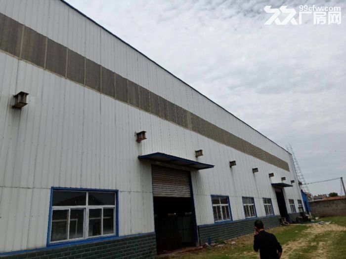 新洲仓埠6000平米独门独院钢构厂房土地出售 证件齐全-图3