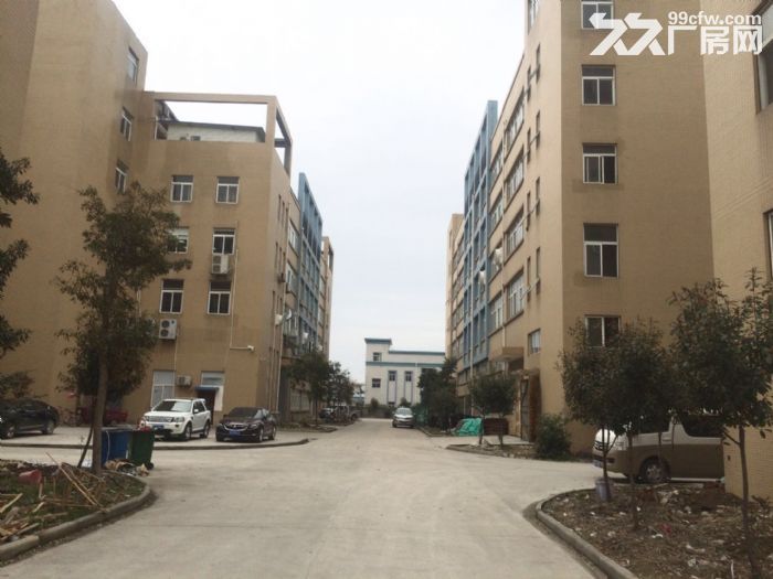 东西湖爱迪克斯工业园870平米全新标准厂房二楼出租仅剩一套-图3