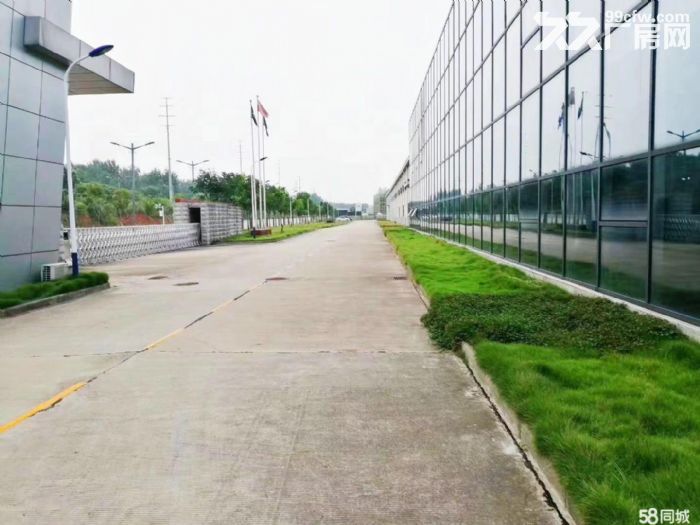 蔡甸京东物流仓库700−20000平电商仓库托管可分租可隔断-图6