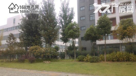 武汉沌口康师傅旁850m2框架厂房出租-图2