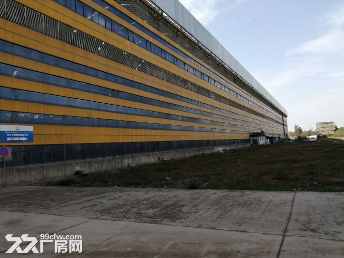 武湖长江金属旁30000㎡钢构厂房，带行车，800起租