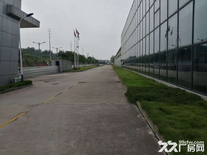 常福工业园15000平仓库招租可分租可托管700起租-图4