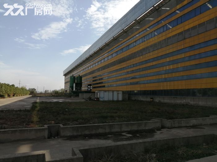 武湖长江金属旁新建30000㎡钢构，带行车，800起租