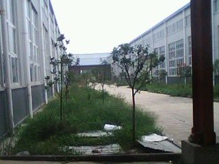 东本汽车产业园3200M2钢构车间