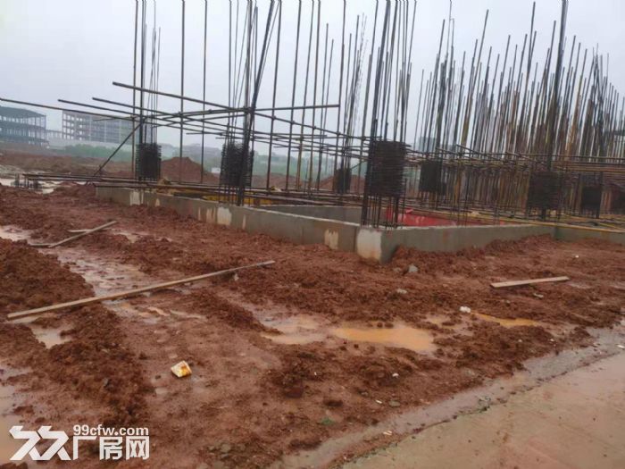 横店7200平钢结构厂房，可装20吨行车，可分租，5月底出来，可预定