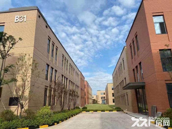 青山2层独栋工业园区厂房 首层7.2米 框架结构 交通便利 物流方便-图2