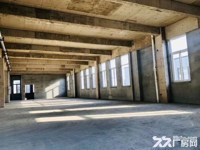 青山2层独栋工业园区厂房 首层7.2米 框架结构 交通便利 物流方便-图3