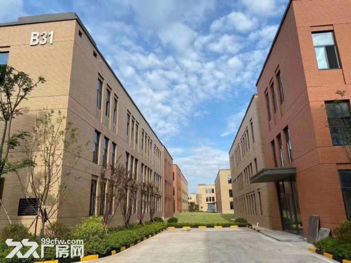 武湖2层工业厂房  首层8.1米 框架结构 可装行车 交通便利 物流园旁-图5