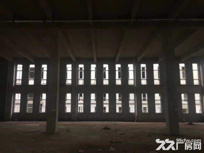 武湖2层工业厂房  首层8.1米 框架结构 可装行车 交通便利 物流园旁-图3