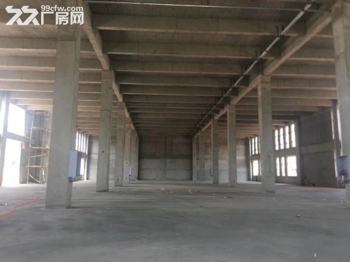 江岸2层独栋厂房 框架结构 首层7.2米 可装行车 高速物流园旁-图5