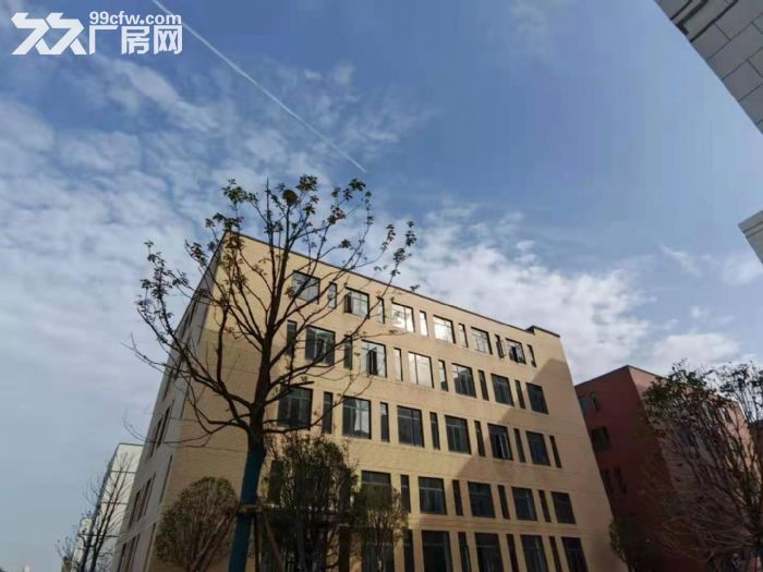 白沙洲4层工业厂房 首层7.2 可装行车 4环旁交通便利  框架结构-图4