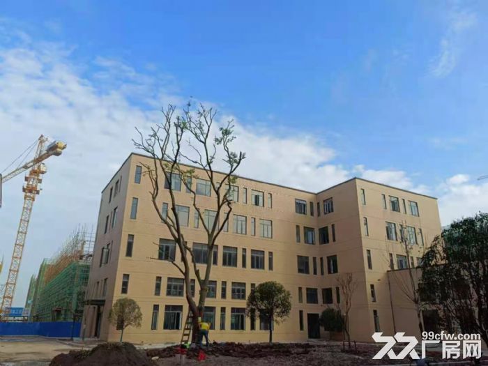 白沙洲4层工业厂房 首层7.2 可装行车 4环旁交通便利  框架结构-图5