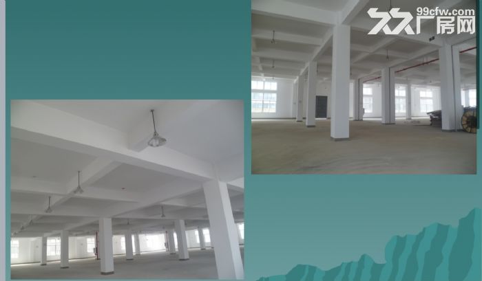 武汉经济技术开发区园区钢构厂房出租-图3