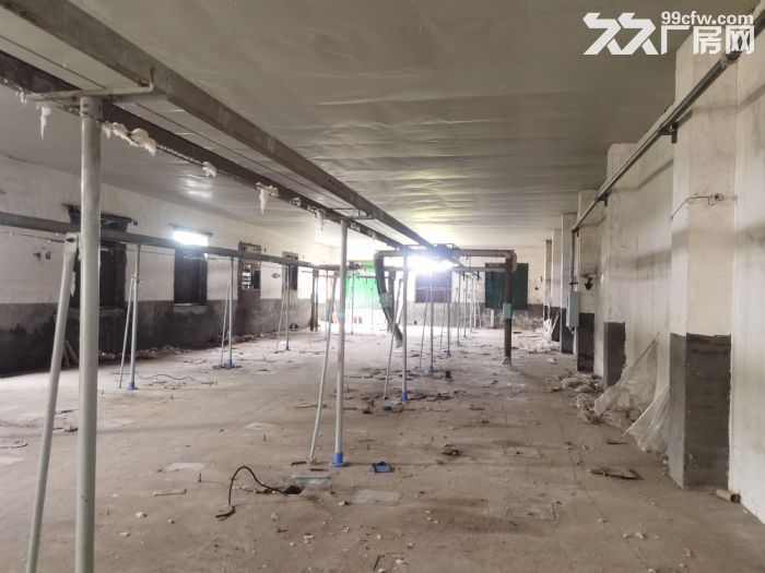 急急急！厂房出租，面积6000平米，价格好商量，地理位置好