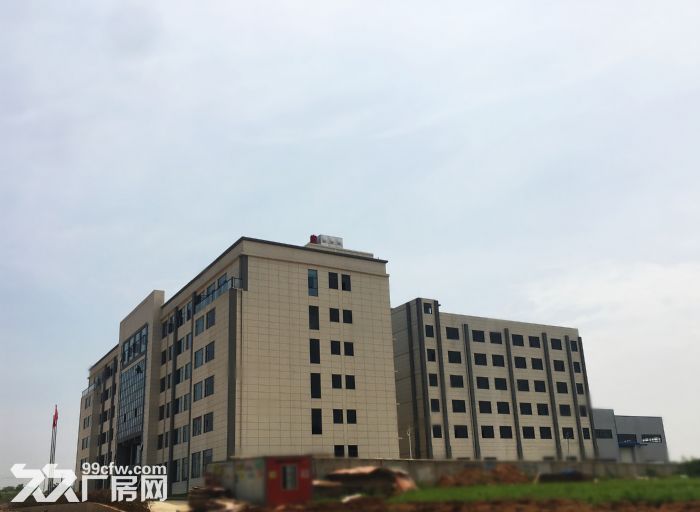 房东直租 黄陂临空港产业园 厂房 办公 仓储 优惠招租-图2