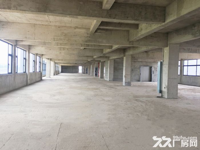 房东直租 黄陂临空港产业园 厂房 办公 仓储 优惠招租-图3