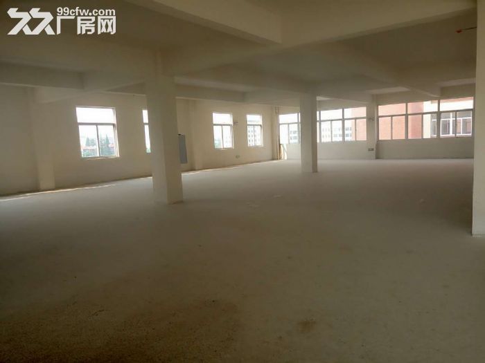 金银湖工业园全新厂房出租-图2