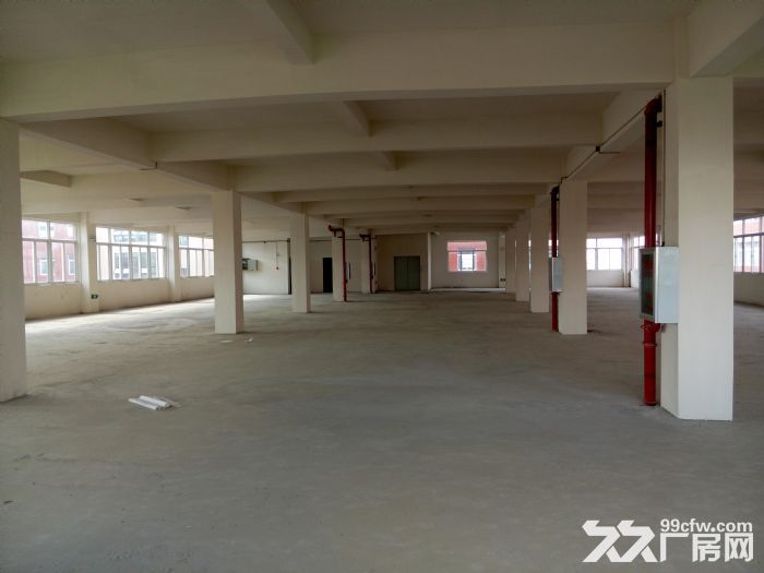 金银湖工业园全新厂房出租-图8