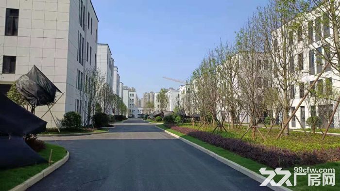 出租洪山区青菱乡青菱都市工业园联东U谷生态科技工业