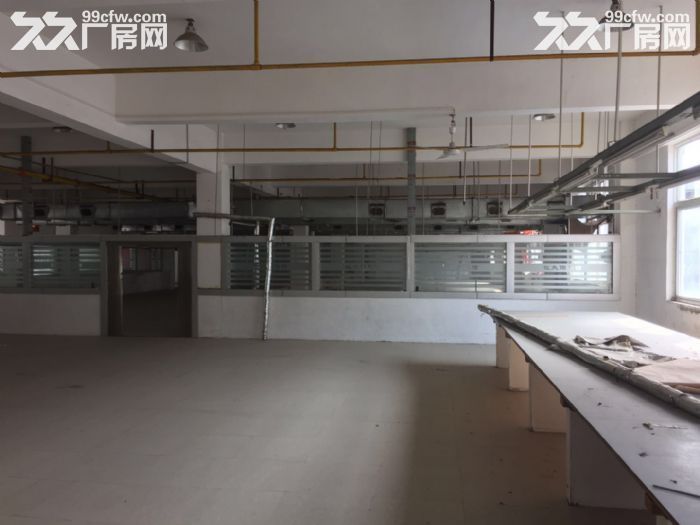 出售东西湖吴家山东吴大道1655㎡四楼框架厂房证件齐全-图3