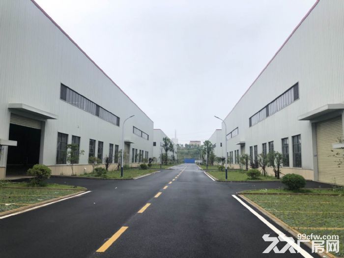 阳逻经济开发区1000−15000平米全新单层钢构厂房出租