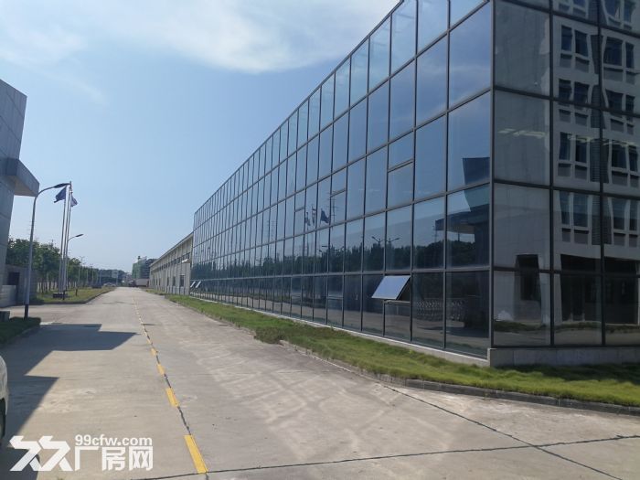 沌口开发区厂房出租700−20000平米一楼厂房可分租可隔断可托管