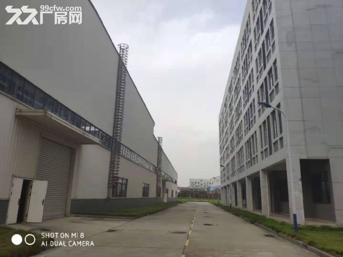 沌口开发区厂房出租700−20000平米一楼厂房可分租可隔断可托管-图4