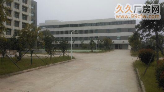 武汉经济开发区康师傅旁底层620m2框架厂房