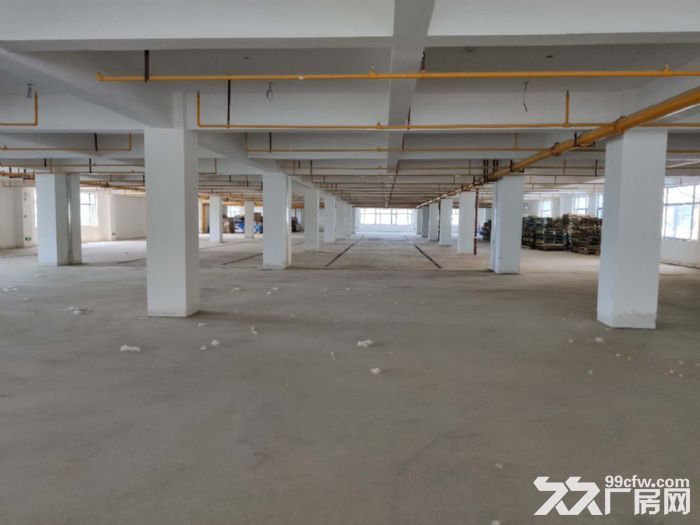 东西湖食品产业园20000平米可分金钢砂水磨石无尘地面带装修直接入驻生产