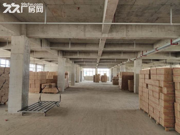 横店1240平米厂房丙二消防带牛角配套办公宿舍食堂-图2