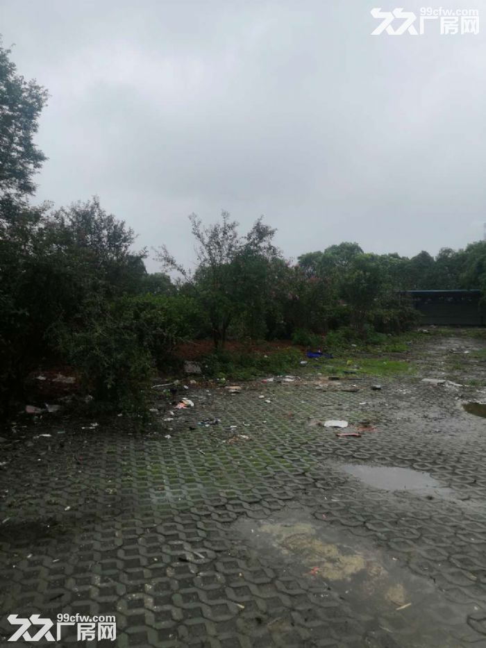 （场地出租）沌口码头附近20亩空地出租可做堆场可做培训基地等-图3